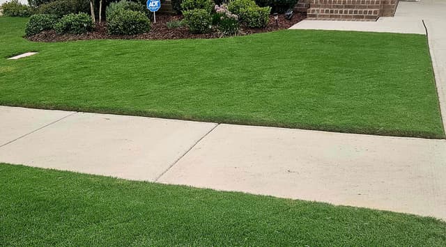 Professional reel mower cut - clean and healthy grass